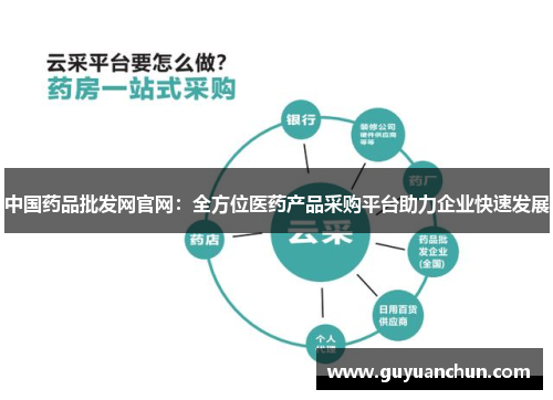 中国药品批发网官网:全方位医药产品采购平台助力企业快速发展