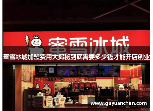 蜜雪冰城加盟费用大揭秘到底需要多少钱才能开店创业
