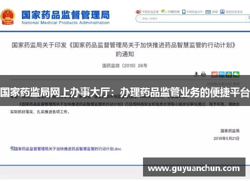 国家药监局网上办事大厅：办理药品监管业务的便捷平台