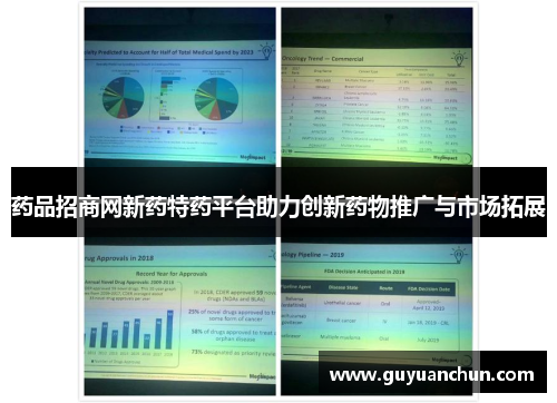 药品招商网新药特药平台助力创新药物推广与市场拓展