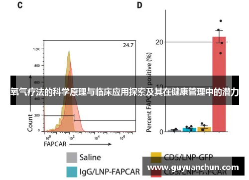 氧气疗法的科学原理与临床应用探索及其在健康管理中的潜力