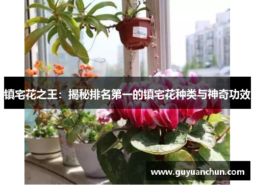 镇宅花之王：揭秘排名第一的镇宅花种类与神奇功效
