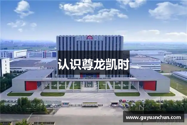 认识尊龙凯时